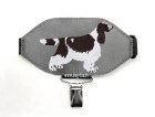 spaniel welsh springer copy